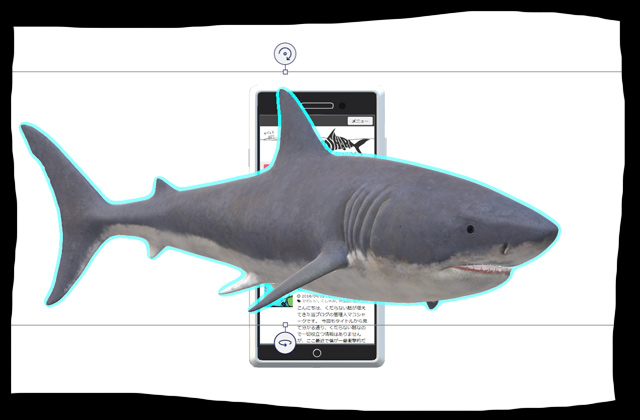 サメの3Dモデル